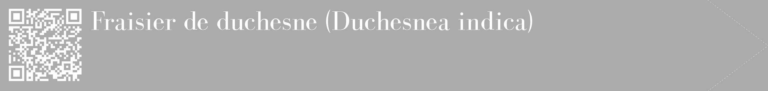 Étiquette de : Duchesnea indica - format c - style blanche37_simple_simplebod avec qrcode et comestibilité