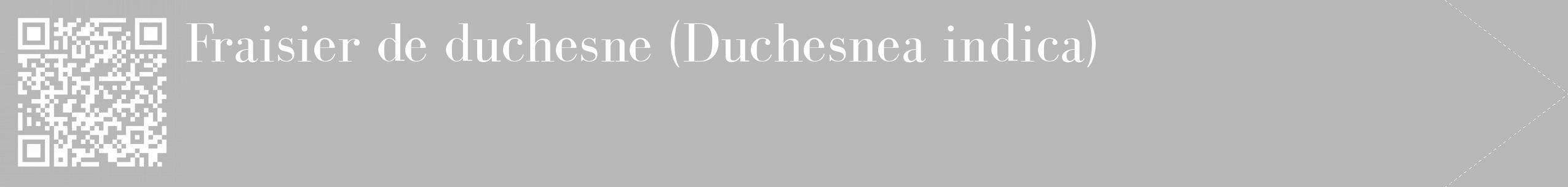 Étiquette de : Duchesnea indica - format c - style blanche39_simple_simplebod avec qrcode et comestibilité