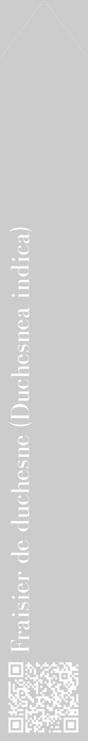 Étiquette de : Duchesnea indica - format c - style blanche0_simple_simplebod avec qrcode et comestibilité - position verticale