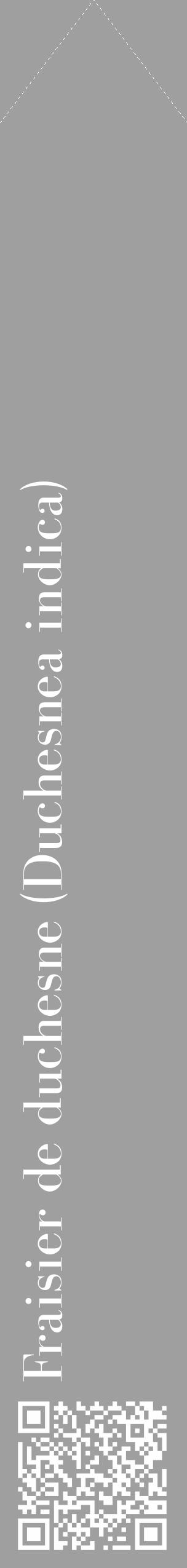 Étiquette de : Duchesnea indica - format c - style blanche24_simple_simplebod avec qrcode et comestibilité - position verticale