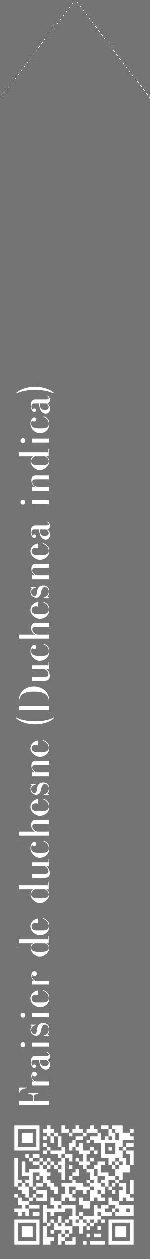 Étiquette de : Duchesnea indica - format c - style blanche26_simple_simplebod avec qrcode et comestibilité - position verticale