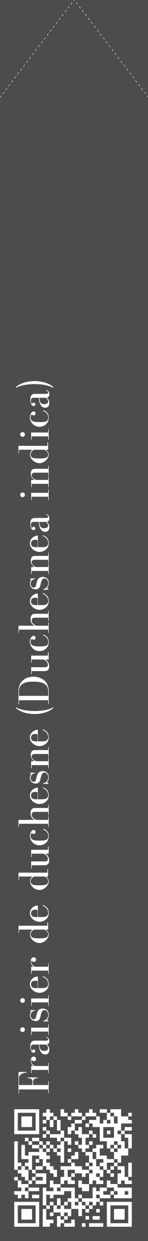 Étiquette de : Duchesnea indica - format c - style blanche27_simple_simplebod avec qrcode et comestibilité - position verticale