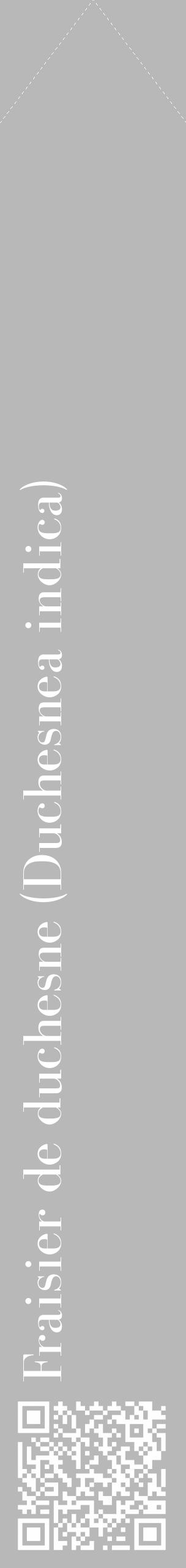 Étiquette de : Duchesnea indica - format c - style blanche39_simple_simplebod avec qrcode et comestibilité - position verticale