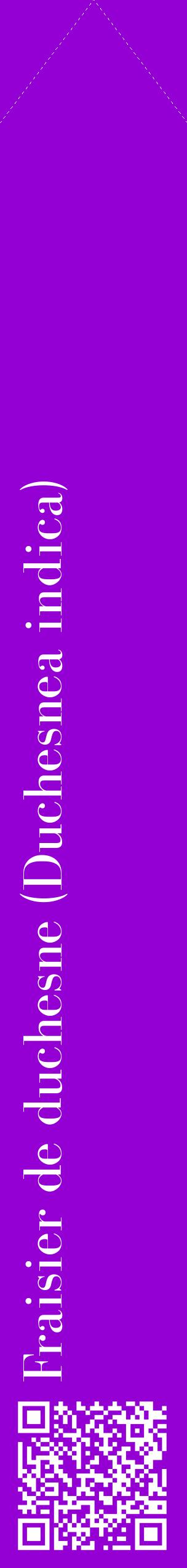 Étiquette de : Duchesnea indica - format c - style blanche48_simplebod avec qrcode et comestibilité