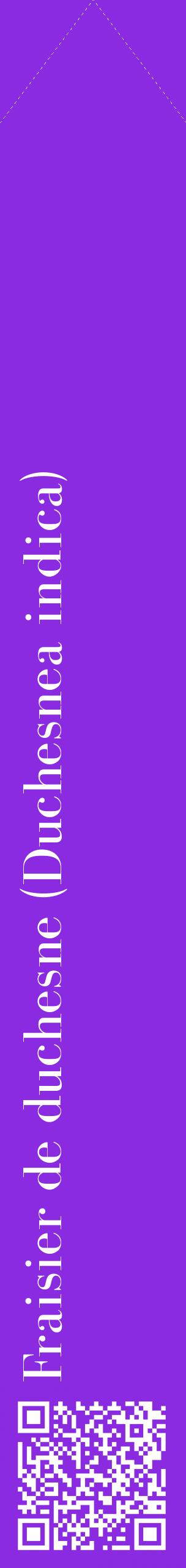 Étiquette de : Duchesnea indica - format c - style blanche49_simple_simplebod avec qrcode et comestibilité - position verticale