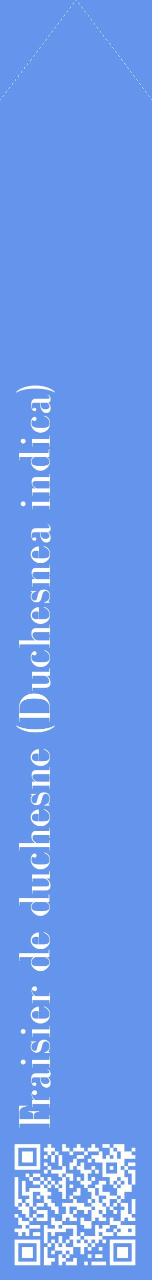 Étiquette de : Duchesnea indica - format c - style blanche4_simplebod avec qrcode et comestibilité