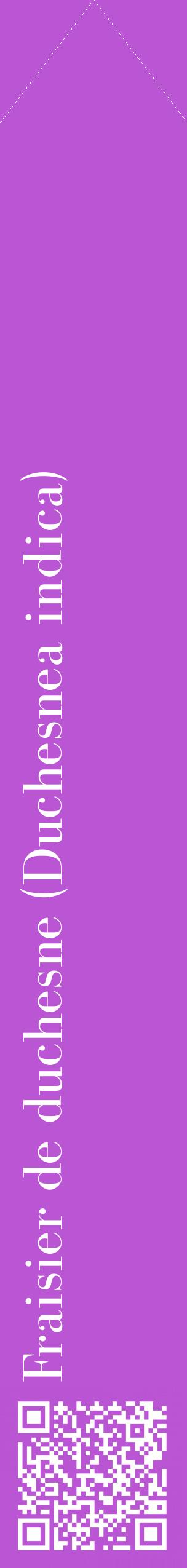 Étiquette de : Duchesnea indica - format c - style blanche50_simplebod avec qrcode et comestibilité
