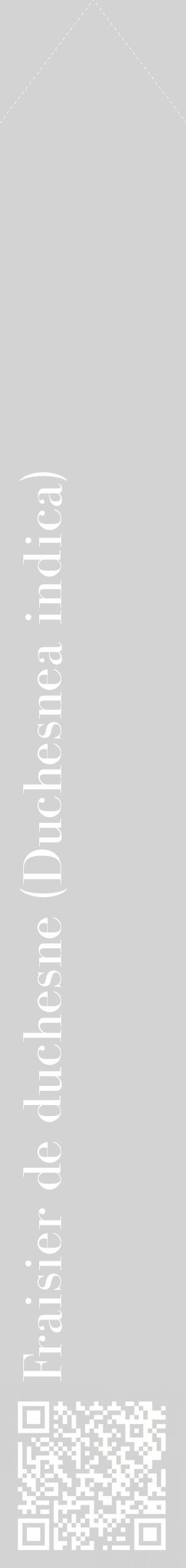 Étiquette de : Duchesnea indica - format c - style blanche56_simplebod avec qrcode et comestibilité