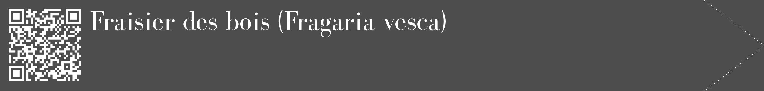 Étiquette de : Fragaria vesca - format c - style blanche28_simple_simplebod avec qrcode et comestibilité