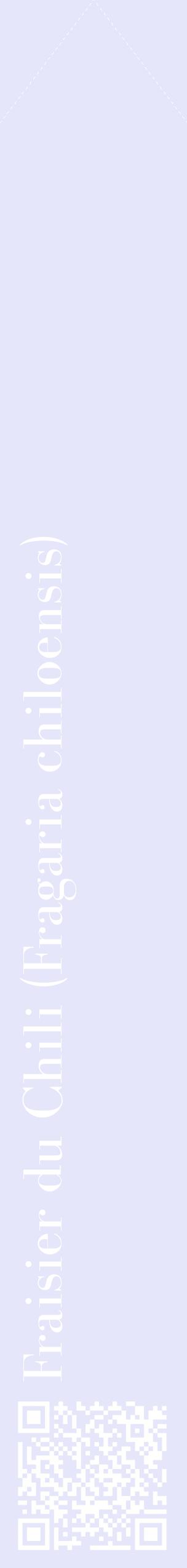 Étiquette de : Fragaria chiloensis - format c - style blanche55_simplebod avec qrcode et comestibilité