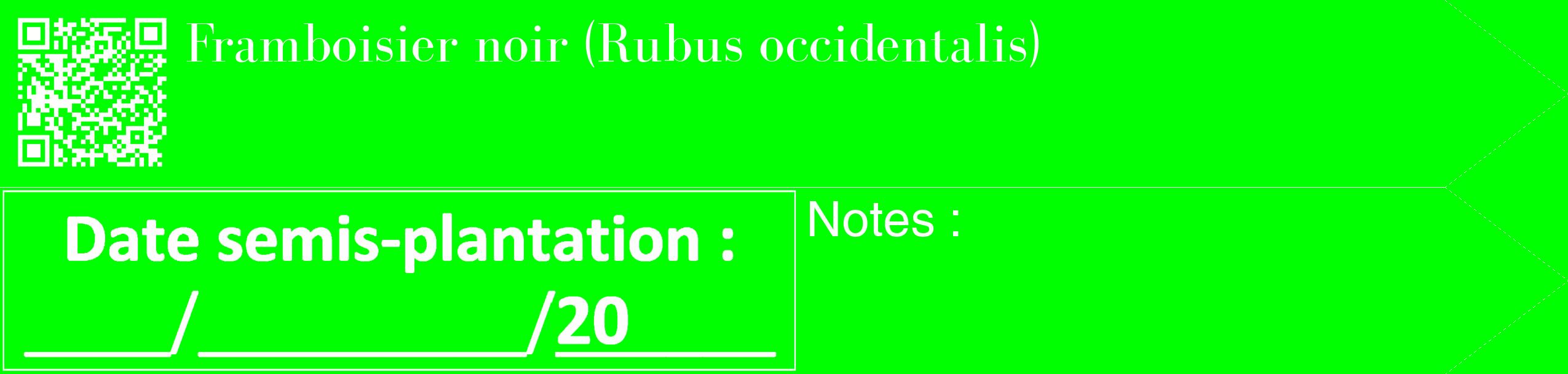 Étiquette de : Rubus occidentalis - format c - style blanche16_simple_simplebod avec qrcode et comestibilité