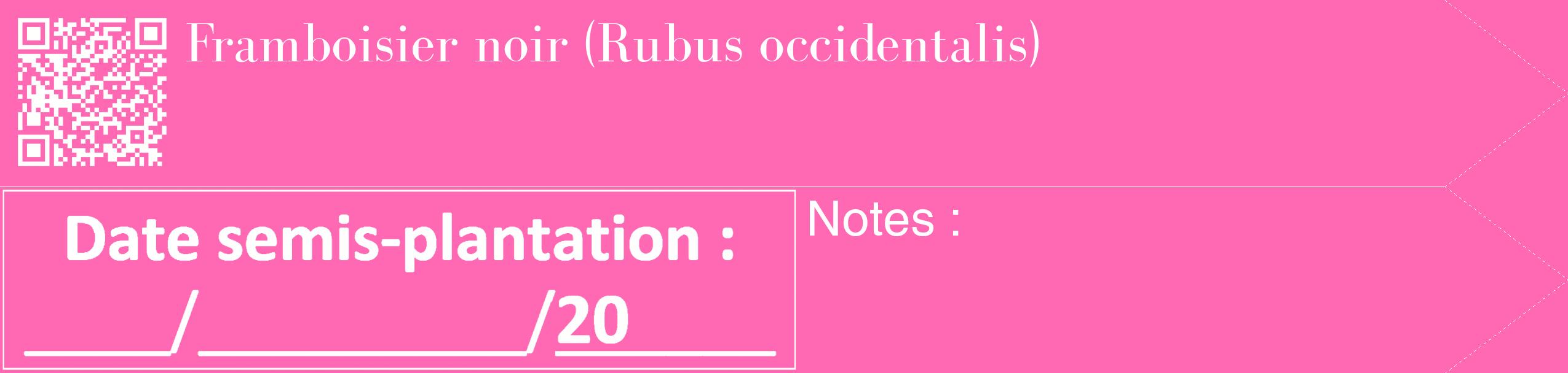 Étiquette de : Rubus occidentalis - format c - style blanche42_simple_simplebod avec qrcode et comestibilité