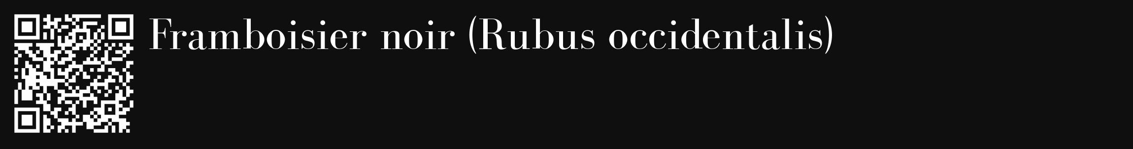 Étiquette de : Rubus occidentalis - format c - style blanche7_basique_basiquebod avec qrcode et comestibilité