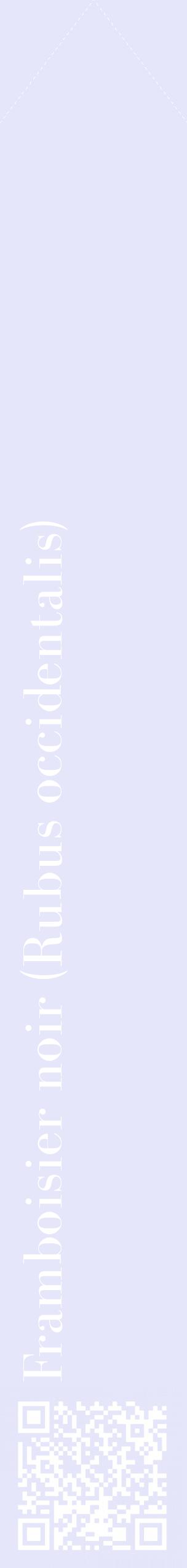 Étiquette de : Rubus occidentalis - format c - style blanche55_simplebod avec qrcode et comestibilité