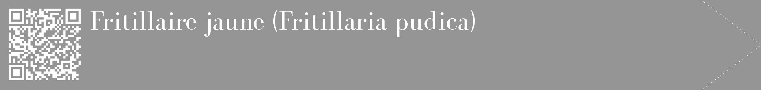 Étiquette de : Fritillaria pudica - format c - style blanche16_simple_simplebod avec qrcode et comestibilité