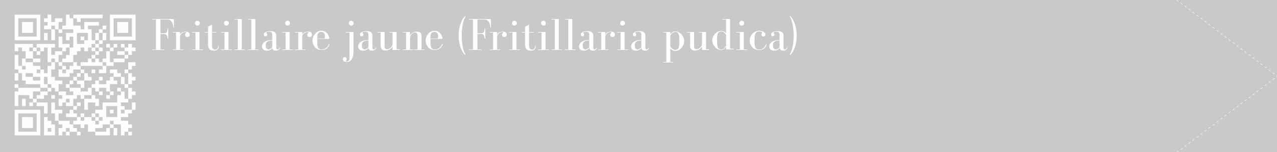 Étiquette de : Fritillaria pudica - format c - style blanche54_simple_simplebod avec qrcode et comestibilité