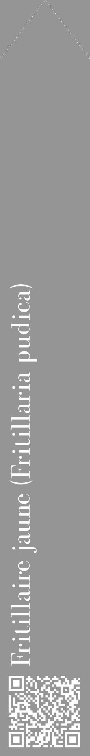 Étiquette de : Fritillaria pudica - format c - style blanche16_simple_simplebod avec qrcode et comestibilité - position verticale