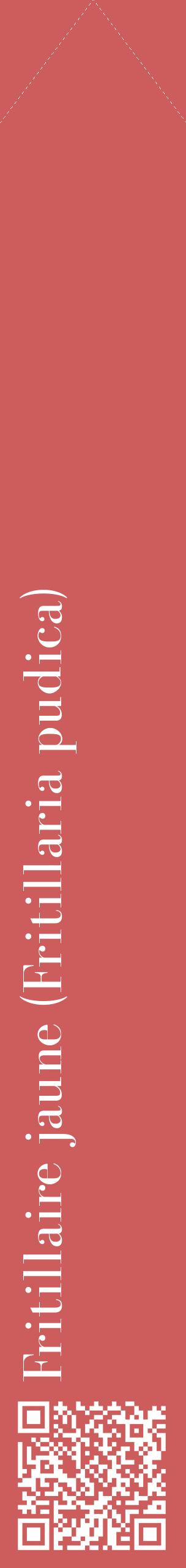 Étiquette de : Fritillaria pudica - format c - style blanche35_simplebod avec qrcode et comestibilité