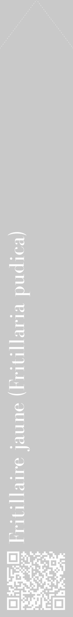 Étiquette de : Fritillaria pudica - format c - style blanche54_simple_simplebod avec qrcode et comestibilité - position verticale