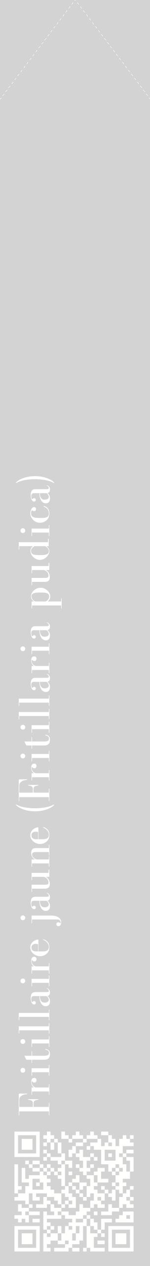 Étiquette de : Fritillaria pudica - format c - style blanche56_simplebod avec qrcode et comestibilité