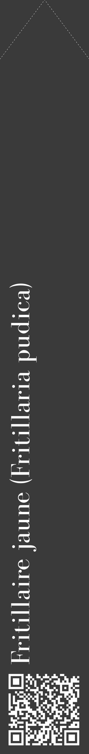 Étiquette de : Fritillaria pudica - format c - style blanche8_simple_simplebod avec qrcode et comestibilité - position verticale