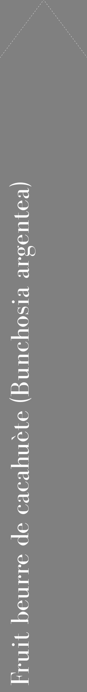 Étiquette de : Bunchosia argentea - format c - style blanche57_simplebod avec comestibilité