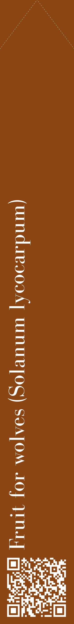 Étiquette de : Solanum lycocarpum - format c - style blanche30_simplebod avec qrcode et comestibilité