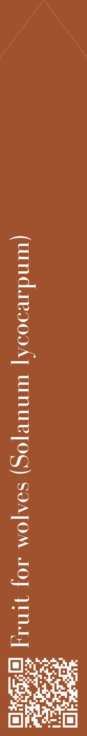 Étiquette de : Solanum lycocarpum - format c - style blanche32_simplebod avec qrcode et comestibilité