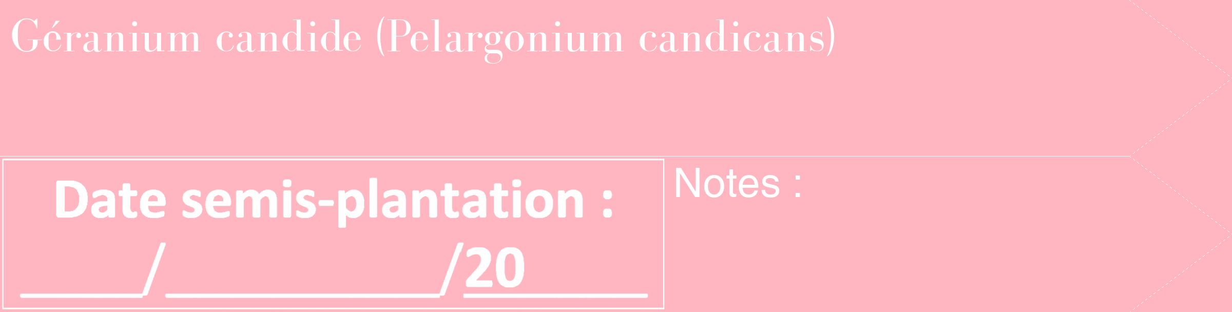 Étiquette de : Pelargonium candicans - format c - style blanche41_simple_simplebod avec comestibilité
