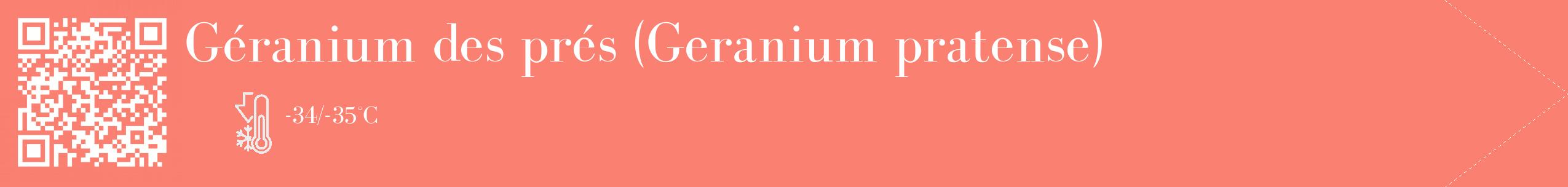 Étiquette de : Geranium pratense - format c - style blanche38_simple_simplebod avec qrcode et comestibilité