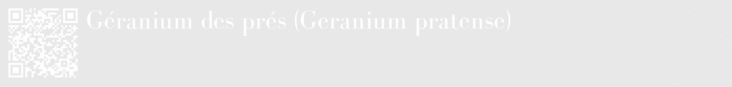 Étiquette de : Geranium pratense - format c - style blanche55_simple_simplebod avec qrcode et comestibilité