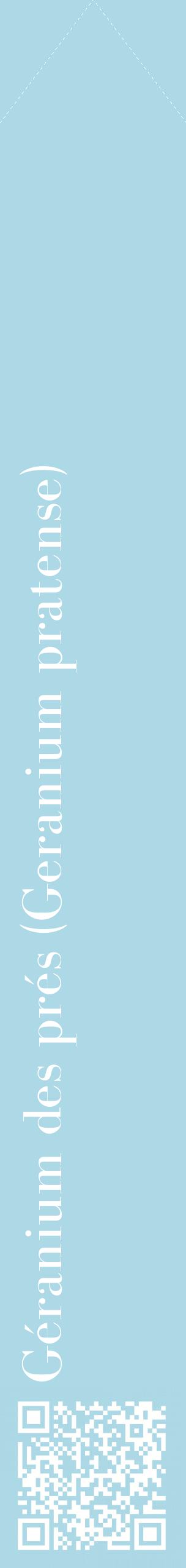 Étiquette de : Geranium pratense - format c - style blanche0_simplebod avec qrcode et comestibilité