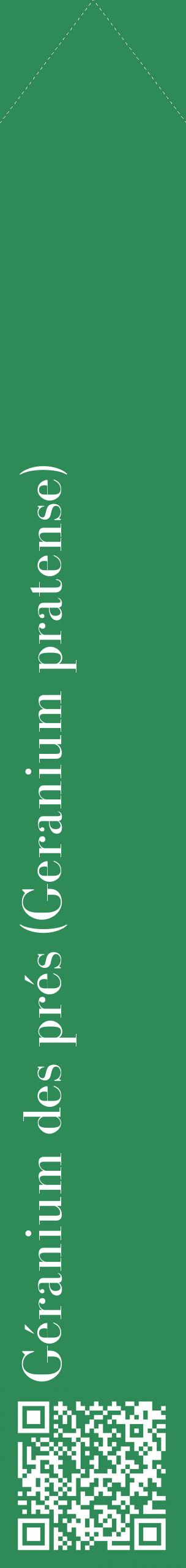 Étiquette de : Geranium pratense - format c - style blanche11_simplebod avec qrcode et comestibilité