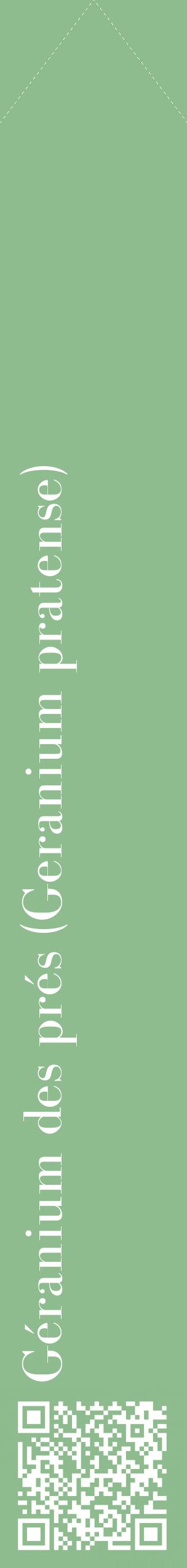 Étiquette de : Geranium pratense - format c - style blanche13_simplebod avec qrcode et comestibilité