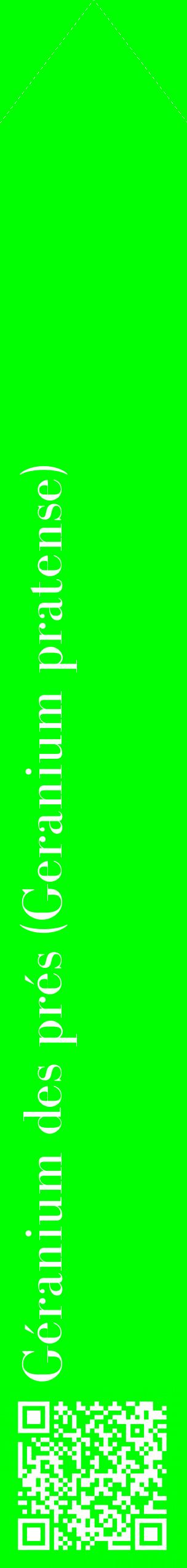 Étiquette de : Geranium pratense - format c - style blanche16_simplebod avec qrcode et comestibilité