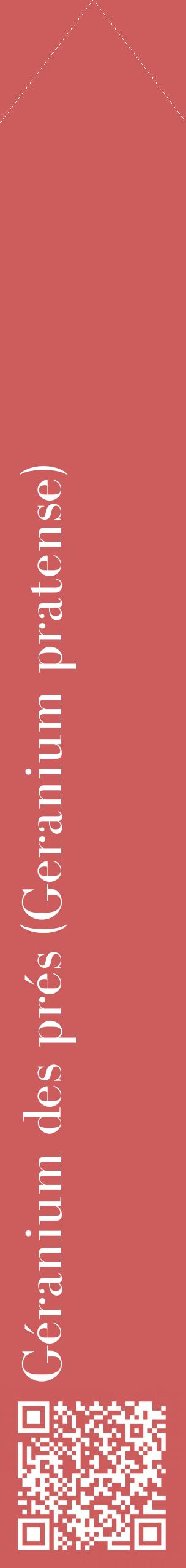 Étiquette de : Geranium pratense - format c - style blanche35_simplebod avec qrcode et comestibilité
