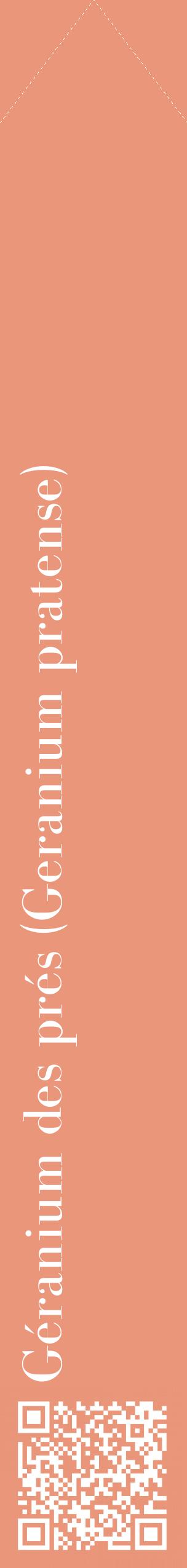 Étiquette de : Geranium pratense - format c - style blanche37_simplebod avec qrcode et comestibilité