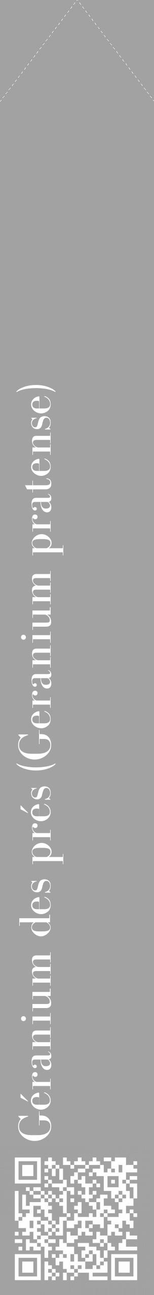 Étiquette de : Geranium pratense - format c - style blanche38_simple_simplebod avec qrcode et comestibilité - position verticale