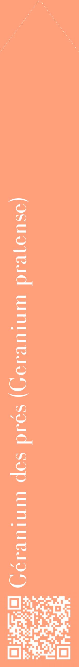 Étiquette de : Geranium pratense - format c - style blanche39_simplebod avec qrcode et comestibilité
