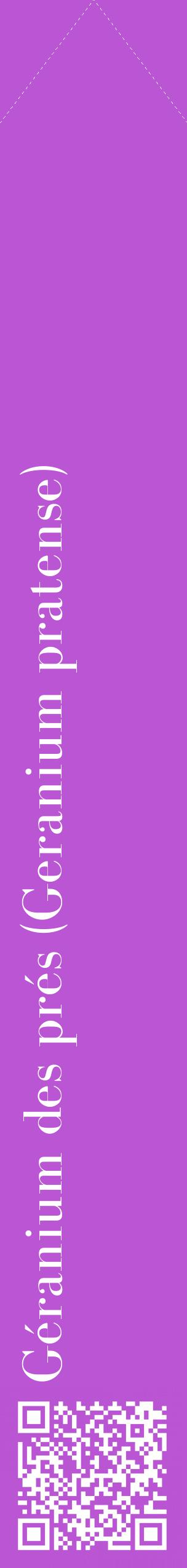 Étiquette de : Geranium pratense - format c - style blanche50_simplebod avec qrcode et comestibilité