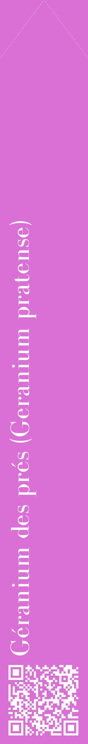 Étiquette de : Geranium pratense - format c - style blanche52_simplebod avec qrcode et comestibilité