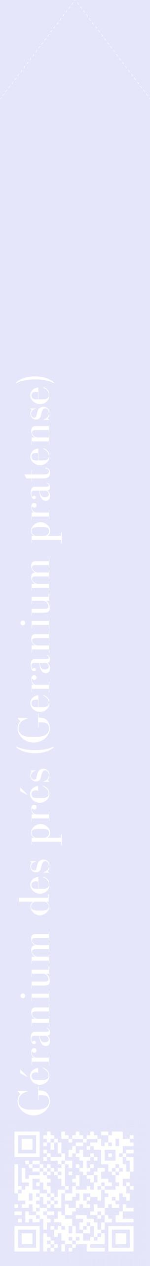 Étiquette de : Geranium pratense - format c - style blanche55_simplebod avec qrcode et comestibilité