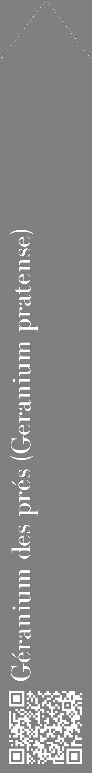 Étiquette de : Geranium pratense - format c - style blanche57_simplebod avec qrcode et comestibilité
