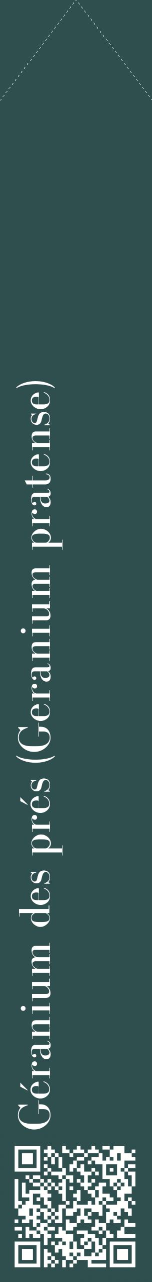 Étiquette de : Geranium pratense - format c - style blanche58_simplebod avec qrcode et comestibilité
