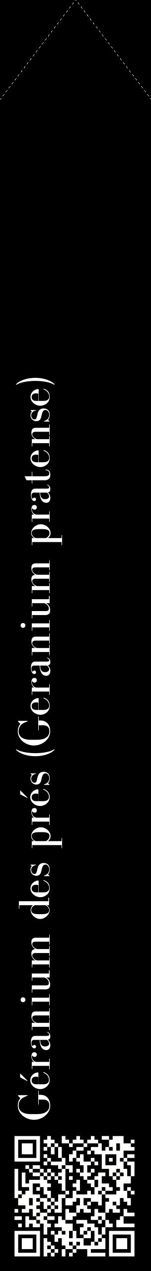 Étiquette de : Geranium pratense - format c - style blanche59_simplebod avec qrcode et comestibilité