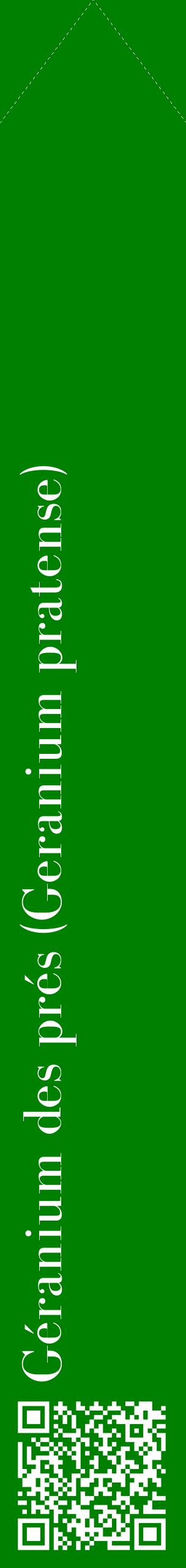 Étiquette de : Geranium pratense - format c - style blanche9_simplebod avec qrcode et comestibilité