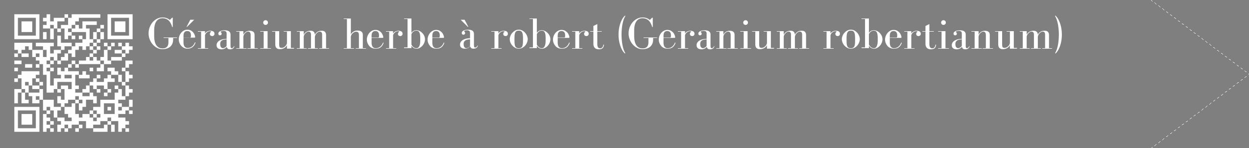 Étiquette de : Geranium robertianum - format c - style blanche31_simple_simplebod avec qrcode et comestibilité