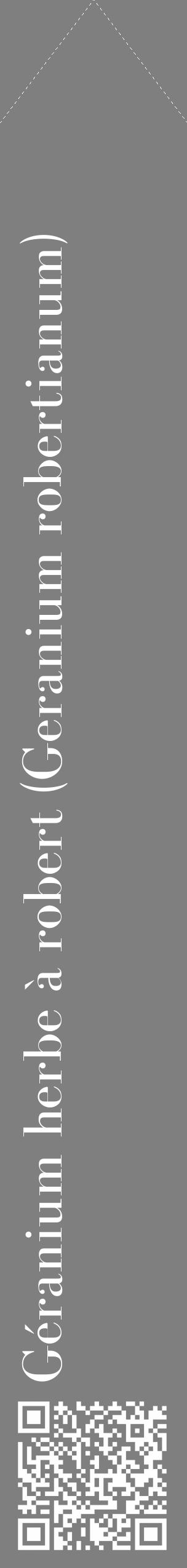 Étiquette de : Geranium robertianum - format c - style blanche31_simple_simplebod avec qrcode et comestibilité - position verticale