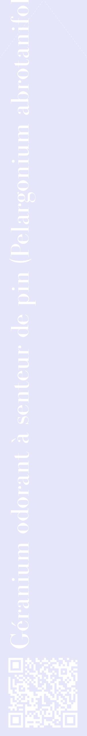 Étiquette de : Pelargonium abrotanifolium - format c - style blanche55_simplebod avec qrcode et comestibilité