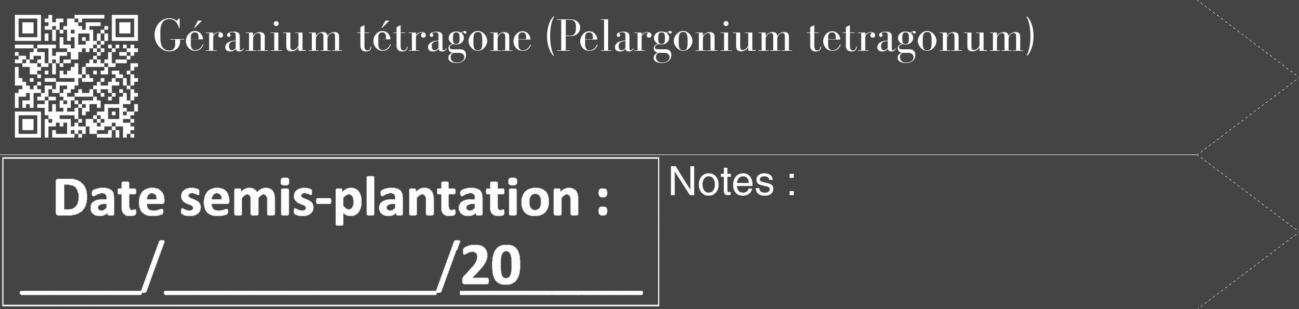 Étiquette de : Pelargonium tetragonum - format c - style blanche48_simple_simplebod avec qrcode et comestibilité